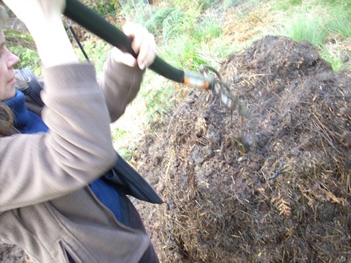 Bryony putting a garden fork into the now largely composted compost pile