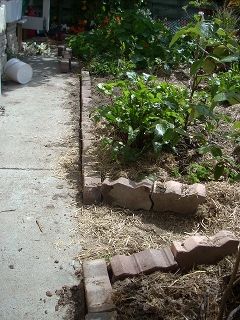 edging made for garden using spare brincks