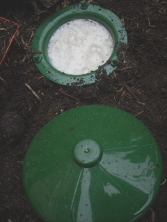 snail trap in ground with beer in it and lid sitting next to it.