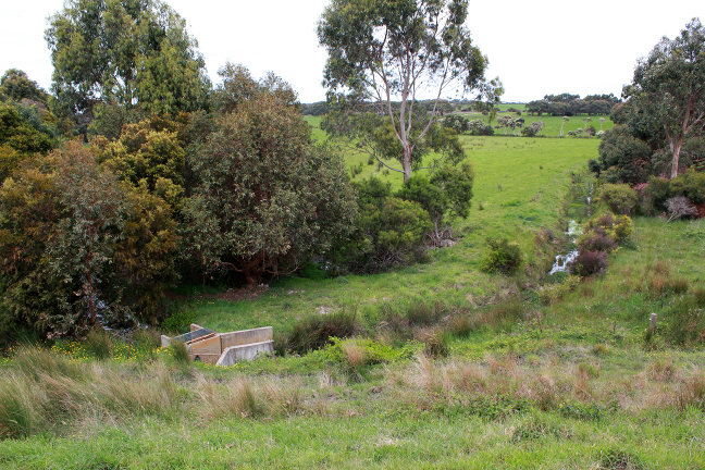 View of part of the farm showing a swale which is used to irrigate the farm