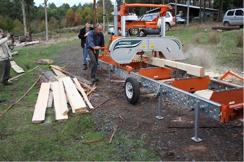 Rowan Reed milling agroforetry grown timber