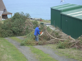 Steven cutting up trees with a chain saw