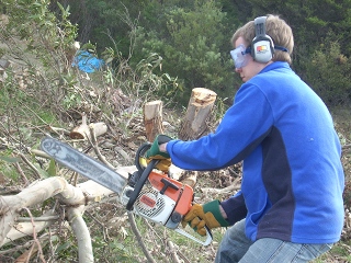 Steven cutting up trees with a chain saw close up