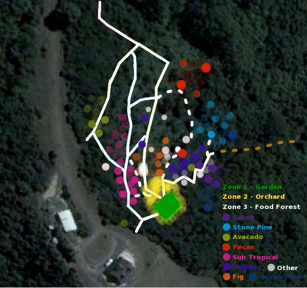 map of the food forest canpoy plants