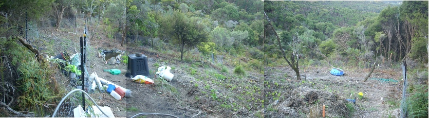 garden in October, seeds and seedlings planted