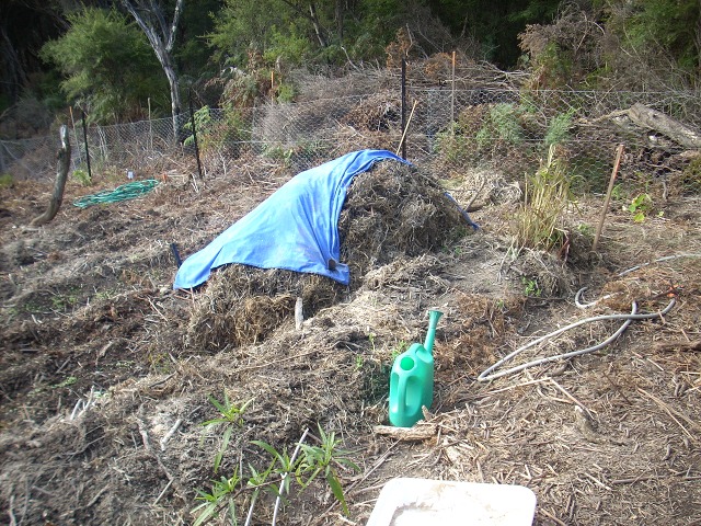 compost heap made from bracken and pea straw placed at the end of a garden bed