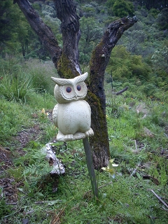 ceramic owl in garden