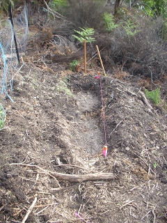 pond under construction, a hole dug in the dirt