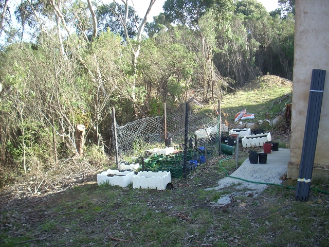 early nursery