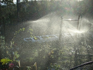 the system in place, watering the nursery